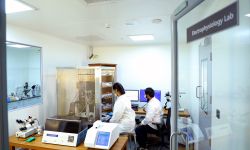 Embracing electrophysiology to revolutionize drug discovery: utility beyond safety pharmacology Embracing electrophysiology to revolutionize drug discovery: utility beyond safety pharmacology